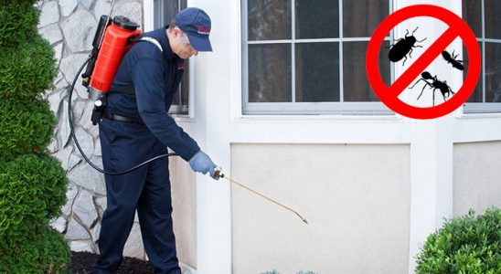 Bafra Kene İlaçlama böcek ilaçlama ve haşere kontrolü — ilaclama-tr.com